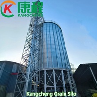 Silo de haute qualité avec élévateur, 500 tonnes, fond conique en acier, silos à maïs, blé, riz, paddy