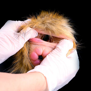 Simulador de Peluche de Mono, Masturbador Masculino de Fantasía, Masajeador de Próstata de Silicona Suave, Juguetes Sexuales para Masturbación, Venta al por Mayor - Product Image 6