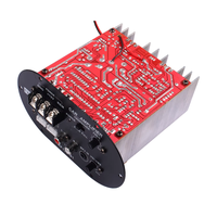 Module d'amplificateur de subwoofer 12V 400W, amplificateur de puissance audio pleine gamme pour haut-parleur de voiture 8-10 pouces DIY