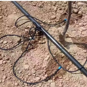 Set di freccette stabilizzatrici personalizzate <span class=keywords><strong>per</strong></span> irrigazione a goccia automatica, <span class=keywords><strong>per</strong></span> il risparmio idrico in pareti vegetali e l'agricoltura, con freccette dritte e curve - Product Image 3