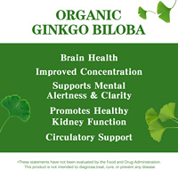 Gélules de Ginkgo Biloba Antioxydantes, Flavones + Polyphénols, Éliminateur de Radicaux Libres, Anti-Âge et Protection Cellulaire