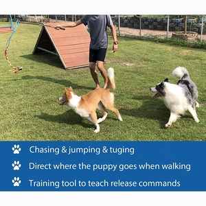 Juguete de poste de coqueteo interactivo, accesorios para perros, varita de teaser duradera para entrenamiento de ejercicio al aire libre para perros - Product Image 2