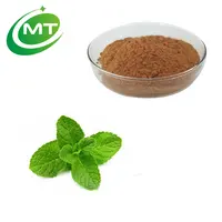 Best Quality Mint Extract Powder, Menthol Crystals