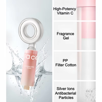 Vente chaude ODM OEM Filtre à eau parfumé à la vitamine C populaire pour la salle de bain Pomme de douche Purificateur d'eau Filtre parfumé Douche G