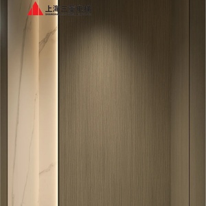 Ascensor Pequeño para Pasajeros, de Acero Inoxidable, con Sistema de Tracción, para Apartamentos y Oficinas, Diseño Moderno, 1 Año de Garantía - Product Image 4