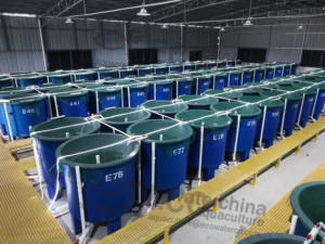 Weeyeco — ensemble d'équipement RAS du corps, filtre à tambour, quadricycle, pompe à chaleur, protéine UV, écumeur de protéines, etc - Product Image 2