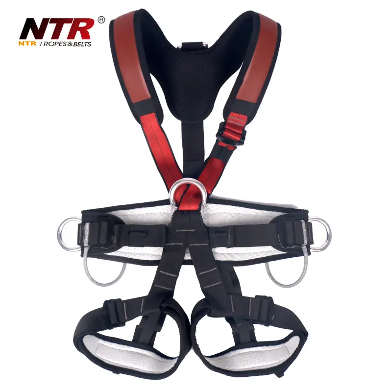 NTR Z-Y-P-05YQ Lima Adjustable Poin Safety Harness