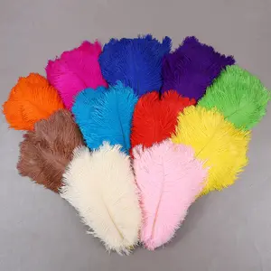 Plume d'autruche plumes d'autruche colorées 70-75cm pour la décoration de robes de mariée de fête - Product Image 1