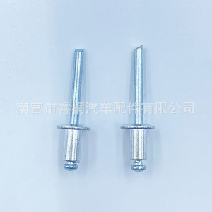 Rivets aveugles en acier inoxydable Shuangxuan 6.3*11*13 à tête plate et ronde pour usage général - Product Image 1
