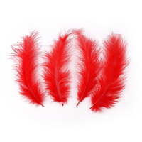 Vente en gros transfrontalière de plumes de queue pointue Boa attrape-rêves en plumes de dinde avec boule d'onde lumineuse pour les mariages