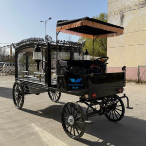 รถโลงศพไฟฟ้าย้อนยุคสีขาว - Product Image 1