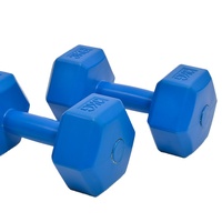 Vente en gros par le fournisseur d'usine : Ensemble d'haltères hexagonales réglables en PVC et ciment pour hommes, équipement professionnel de fitness, yoga et aérobic, couleur personnalisée