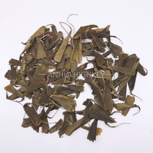 5004 Yin Xing Ye buena calidad <span class=keywords><strong>Gingko</strong></span> té de hierbas hojas sueltas salud seco Ginkgo <span class=keywords><strong>Biloba</strong></span> té de hojas