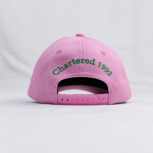 Gorras Snapback al por Mayor, Rosadas y Verdes, de 6 Paneles, con Logotipo Bordado Personalizado, Gorras de Béisbol de Algodón - Product Image 3