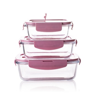 Hot Sell Microwave Safe borosilicate Glass Food Storage Container Glass school Lunch Bento Box Set