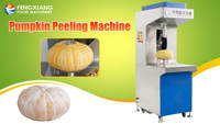 Industriële platte pompoenschilmachine voor voedselverwerkingsfabriek |   Kabocha-schilmesje