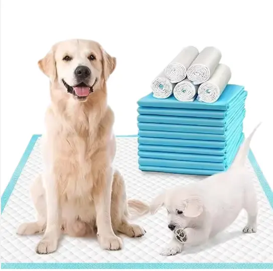 Manufacturer sample free disposable dog pee pads pet puppy training pee pad for dogs cats