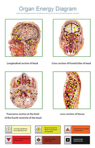 Système d'évaluation de la santé physique intelligent, détecteur corporel pour cliniques de bien-être et spas - Product Image 4