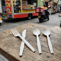 Ensemble de couverts jetables durables en CPLA, couteau, fourchette, cuillère, vaisselle écologique pour la restauration de rue et la livraison