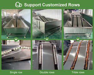Automatic Stainless Steel Chicken Duck <b>Egg</b> Washing and Grading <b>Machine</b> High Capacity <b>Egg</b> Processing Cleaner Sorter for Farm Use - Product Image 2