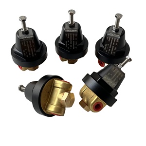 Vanne de régulation de pression en métal Manny 02250046-568 certifiée ISO9001, garantie 1 an, état neuf ou d'occasion, pour compresseur d'air industriel - Product Image 6