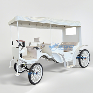 Bus de tourisme électrique à double rangée de sièges, calèche électrique sans chevaux, style personnalisé, calèche de princesse européenne, vente chaude - Product Image 1