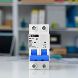 Interruptor Automático Miniatura CB-60A de Nueva Energía, 1P 2P 50A 4P, Montaje en Riel DIN para CC 110V 220V, Interruptor MCB de Cobre para Riel DIN - Product Image 4