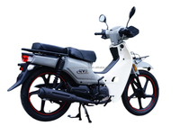 Sepeda Motor DY 110cc Super Cub Silinder Tunggal 4 Tak Grosir Pabrik yang Dapat Disesuaikan