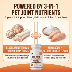 Comprimés à mâcher pour chiens sous marque privée : Glucosamine, Chondroïtine, MSM – Supplément canin pour l'arthrite de la hanche et la mobilité - Product Image 3