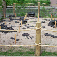 Jeux de divertissement sur le thème des dinosaures, jeux pour enfants, fouilles de fossiles de dinosaures, bac à sable pour enfants