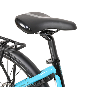Produits bon marché de haute qualité 36v250w vélo de ville électrique pour adultes femmes vélo électrique vélo adultes E vélo - Product Image 6