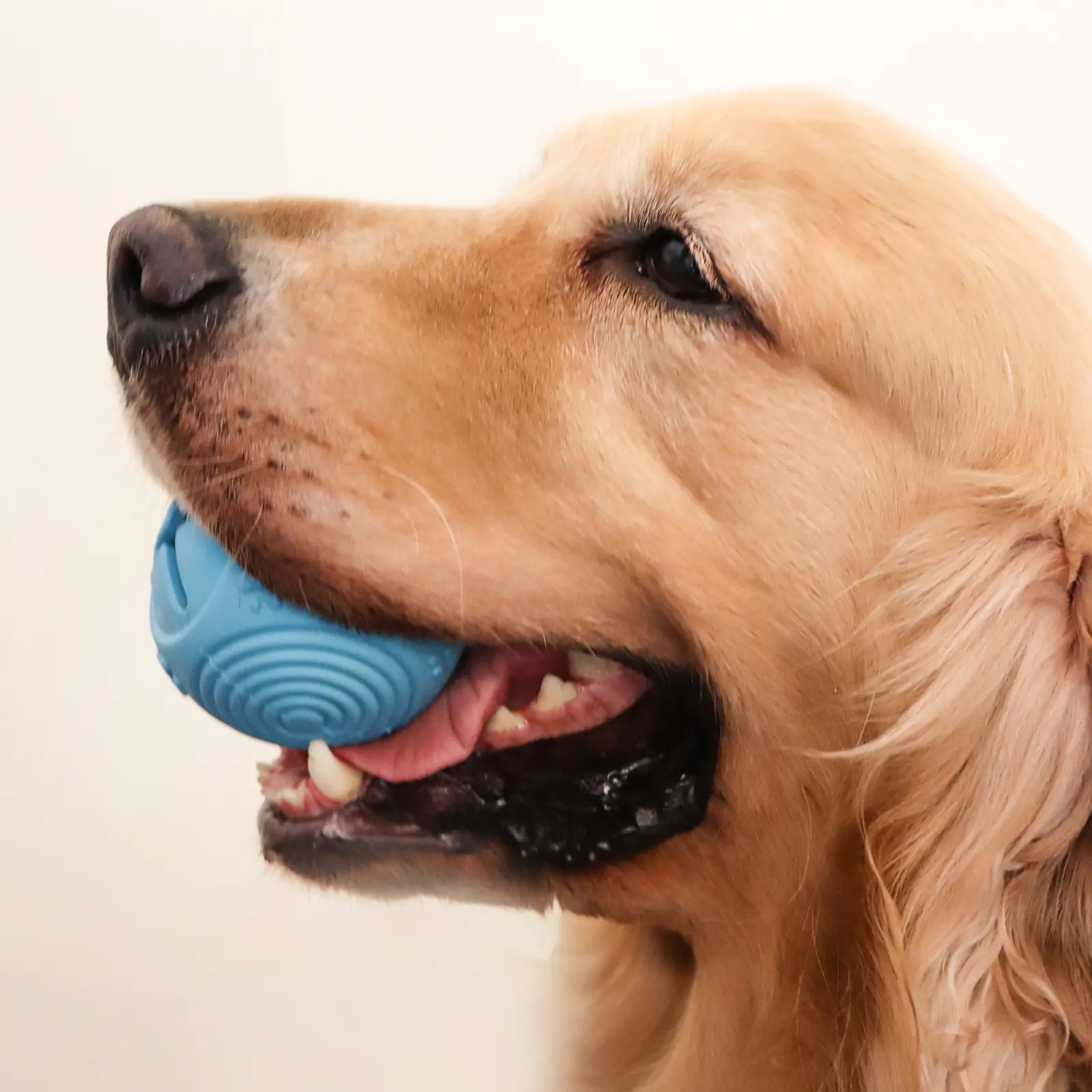 Neues Design langlebiger Silikon-Haustier-Kaugeball Katzen-Hund-Kaugeball Hund-Kelchball Speise-Überlauf-Bälle zur Zahnreinigung