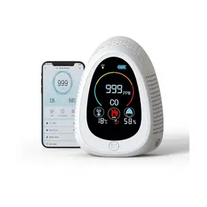 Carbon Monoxide/Co/Gas Detector Personal Co Alarm Carbon Monoxide Detector