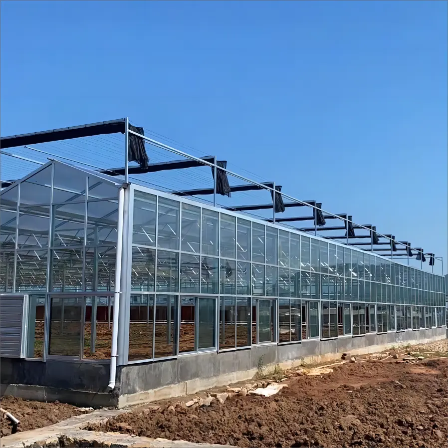 Pertanian cerdas Holland bingkai dingin kaca rumah kaca pertanian sayuran rumah kaca untuk tomat timun selada
