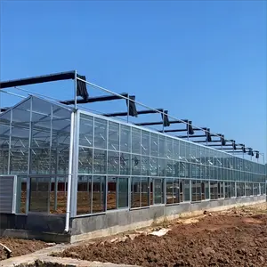 Invernadero inteligente agrícola de Holanda, Marco frío, invernadero de vidrio para agricultura, invernadero vegetal para tomates, pepino, lechuga