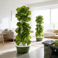 Nouvelle Tour de Culture Hydroponique Multi-Niveaux Sans Terre, Système de Culture par Brume pour Ananas, Serre Domestique, Culture de Légumes sur Balcon