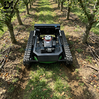 Tondeuse robot agricole intelligente à essence CE Euro 5 EPA, 22 CV, autopropulsée, zéro-turn, mini-tracteur télécommandé