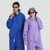 Sweat-shirt à capuche épais en molleton bouclette 430 GSM pour homme, survêtement, sweat à capuche à manches longues, pull oversize, logo personnalisé