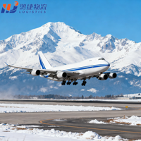 Günstiger Luftfracht-DDP-Logistikservice von China nach Großbritannien, Japan, Australien, USA, Deutschland, Kanada, Spanien - UPS DHL Express Versandagentur