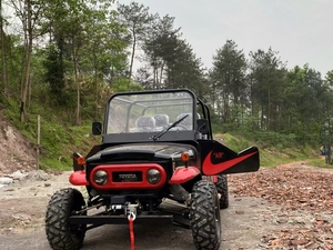 Venta Especial: Vehículo Utilitario Estilo Jeep de 320cc, 2WD/4WD, con Caja de Carga, 4 Plazas para Adultos, Alto Rendimiento, Personalizable - Product Image 6