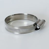 Collier de serrage à vis sans fin DIN 3017 allemand en acier inoxydable 304/316, structure pivotante, bande large polie, couple élevé, pour tuyaux automobiles