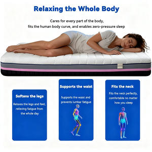 Lüks 3D Hafızalı Köpük Yatak Sıkıştırma Kutusu Çevre Dostu Nefes Alabilen Hipoalerjenik Modern Yatak Odası Okul Otel Villa - Product Image 4