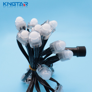 DC5V 12mm <span class=keywords><strong>RGB</strong></span> <span class=keywords><strong>LED</strong></span> Pixels Light IP67 FW1903 Luces de Navidad de plástico para uso en paisajes y parques temáticos - Product Image 3