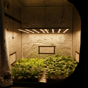 ไฟปลูกพืชในร่มแบบใหม่พร้อมเลนส์ออปติคอล LED สำหรับปลูกผักและดอกไม้ แสงสีแดงไกล รูปแบบใหม่จากซัพพลายเออร์ - Product Image 1