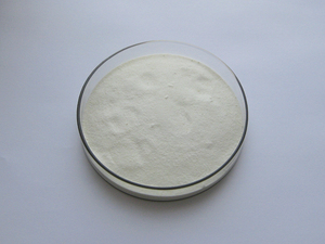 Suplemento para el Cuidado de la Salud Insen Supply, Polvo de Lactobacillus Bulgaricus - Product Image 2