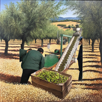Nouvelle Machine Automatique d'Extraction d'Huile d'Olive Extra Vierge 8T/H, Centrifugeuse Décanter Triphasée, Moteur, Roulement pour Matières Premières Végétales