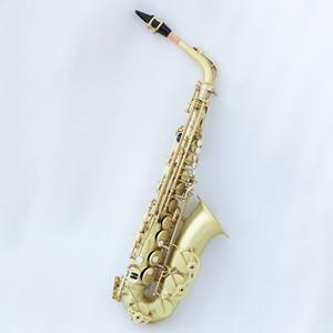 Saxophone alto en la bémol en laiton, embouchure réglable pour une stabilité sonore optimale, pour instrument à vent, étui pour adulte - Product Image 1