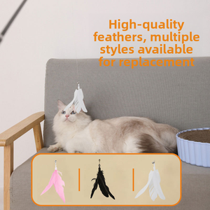ไม้ล่อแมวแบบยืดหดได้ เป็นมิตรกับสิ่งแวดล้อม ขนนกพลาสติก ยาวพิเศษ สำหรับเล่นกับสัตว์เลี้ยง - Product Image 2