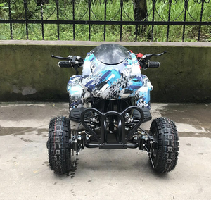 <span class=keywords><strong>Quad</strong></span> 4x4 miniature à 4 roues, refroidi par air, <span class=keywords><strong>49CC</strong></span> 110CC 150CC 250CC - Product Image 2