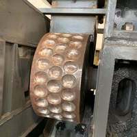 Presse à briquettes de charbon en forme d'oreiller (machine à briquettes haute pression) pour la production de briquettes de charbon de barbecue rondes.